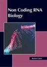 Boston Carter - Non Coding RNA Biology