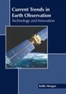 Kallie Morgan - Current Trends in Earth Observation: Technology and Innovation