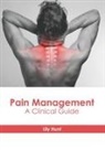 Lily Hunt - Pain Management: A Clinical Guide