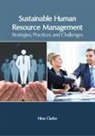 Nina Clarke - Sustainable Human Resource Management: Strategies, Practices and Challenges