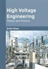 Drake Shaw - High Voltage Engineering: Theory and Practice