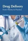 Lyda Zhang - Drug Delivery: From Theory to Practice