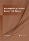 Jaime Allison - Fluorescence-Guided Surgery of Cancer