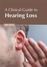 Peter Barry - A Clinical Guide to Hearing Loss