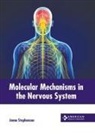 Jenna Stephenson - Molecular Mechanisms in the Nervous System