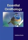 Addriana Boyle - Essential Ornithology