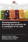 Semirames do N. Silva, Raphael Lucas J. Almeida, Newton Carlos Santos - Développement et stockage des produits de la mangaba et du cajá