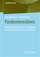 Christoph Bauer, Rudolf Egger - Pandemieresilienz