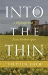 Stephen Drew - Into the Thin