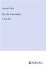 Jean-Henri Fabre - The Life of the Spider