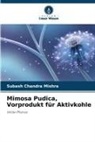 Subash Chandra Mishra - Mimosa Pudica, Vorprodukt für Aktivkohle