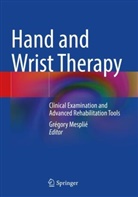 Grégory Mesplié - Hand and Wrist Therapy