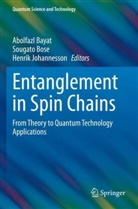Abolfazl Bayat, Sougato Bose, Henrik Johannesson - Entanglement in Spin Chains