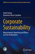 Domenico Rocco Cambrea, Paolo Tenuta - Corporate Sustainability