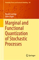 Harald Luschgy, Gilles Pagès - Marginal and Functional Quantization of Stochastic Processes