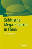 Yanpeng Jiang - Städtische Mega-Projekte in China