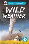 Ladybird - Wild Weather: Read It Yourself - Level 3 Confident Reader
