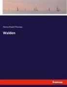 Robert K. Powers, Henry D. Thoreau - Walden