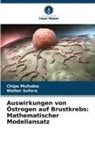 Chipo Mufudza, Walter Sofora - Auswirkungen von Östrogen auf Brustkrebs: Mathematischer Modellansatz