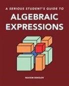 Maksim Sokolov - A serious student's guide to algebraic expressions