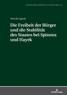 Niccolò Agnoli, Christoph Kann - Die Freiheit der Bürger und die Stabiltät des Staates bei Spinoza und Hayek