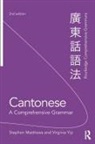 Stephen Matthews, Virgina Yip, Virginia Yip, Virginia (The Chinese University of Hong Kong Yip - Cantonese: A Comprehensive Grammar