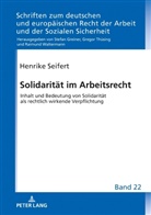Henrike Seifert, Gregor Thüsing - Solidarität im Arbeitsrecht
