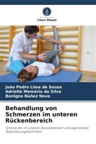 João Pedro Lima de Sousa, Adriel Memória da Silva, Adrielle Memória da Silva, Benigno Núñez Novo - Behandlung von Schmerzen im unteren Rückenbereich