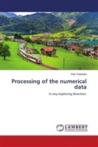 Petr Tsarenko - Processing of the numerical data
