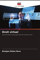 Benigno Núñez Novo - Droit virtuel