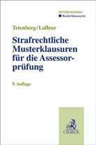 Meike Lafleur, Günther Schmitz, Stefan Tetenberg, Karsten Westphal - Strafrechtliche Musterklausuren für die Assessorprüfung