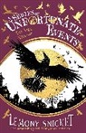 Lemony Snicket, Snicket Lemony, Brett Helquist, Helquist Brett - A Series of Unfortunate Events