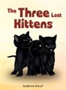 Sabiha Rauf - The Three Lost Kittens