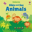 Fiona Watt, Watt Fiona, Stella Baggott, Baggott Stella - Slide and See Animals