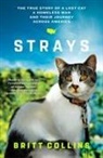 Britt Collins, Collins Britt - Strays