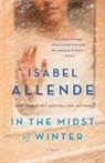 Isabel Allende - In the Midst of Winter