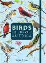 Editors of Rock Point - Birds of North America