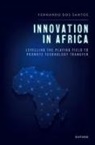 dos Santos, Fernando dos Santos, Fernando (Law Lecturer Dos Santos - Innovation in Africa