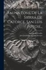 Antonio Del Castillo, Jos&eacute; Guadalupe Aguilera Serrano - Fauna Fosil De La Sierra De Catorce, San Luis Potos&iacute;