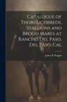 James B. Haggin - Catalogue of Thoroughbreds, Stallions and Brood Mares at Rancho Del Paso, Del Paso, Cal