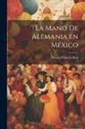Manuel Palacios Roji - La mano de Alemania en México