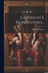 Alexandre Dumas - Garibaldi E Montevideo