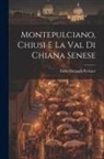 Fabio Bargagli-Petrucci - Montepulciano, Chiusi e la Val di Chiana Senese