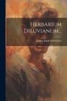 Johann Jakob Scheuchzer - Herbarium Diluvianum