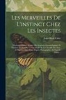 Jean-Henri Fabre - Les Merveilles De L'instinct Chez Les Insectes: Morceaux Choisis, Extraits Des Souvenirs Entomologiques Et Histoires Inédites Du Ver Luisant Et De La