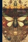James Duncan - Beetles
