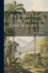 Robert Veitch - The White Grubs of the Sugar Cane Soils of Fiji