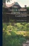 Charles Scribner's Sons - Trees & Shrubs for English Gardens