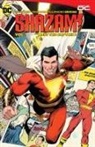 Dan Mora, Mark Waid - Shazam! Vol. 1: Meet the Captain!
