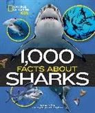 Sarah Wassner Flynn, Phillip S. Lobel - 1,000 Facts About Sharks